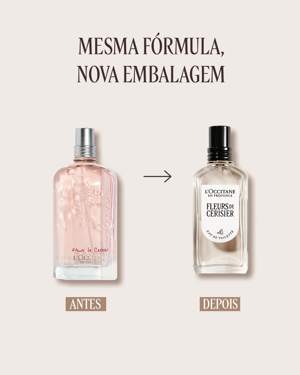 Eau de Toilette Fleurs de Cerisier 50mL (Flor de Cerejeira) | L